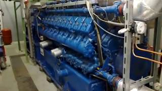 Start engine MWM 2020 V20 Biogas [upl. by Cassell214]