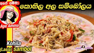 ✔ Kohila Ala sambol කොහිල අල සම්බෝලය Lasia sambol by Apé Amma [upl. by Garrek396]