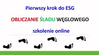 OBLICZANIE ŚLADU WĘGLOWEGO ORGANIZACJI [upl. by Enilarak907]