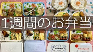 1週間のお弁当✴︎100均のお弁当箱いろいろ [upl. by Colbye]