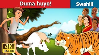 Duma huyo  There comes the Tiger in Swahili  Swahili Fairy Tales [upl. by Nevins]