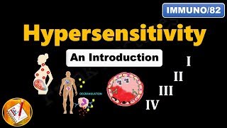 Hypersensitivity  I II III IV An Introduction FLImmuno82 [upl. by Yessydo434]