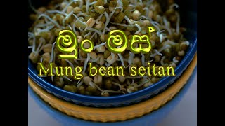 Mung Bean Seitan  මුං මස් [upl. by Riva]