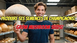 Formation Culture du champignon Comment fabriquer sa propre semence [upl. by Towne721]