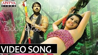 Aakalakalaka Song  Mogudu Video Songs  Gopichand Taapsee [upl. by Batish]