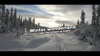 Winter wonderland  4 dager med hvilepuls og blodslit [upl. by Schonthal543]