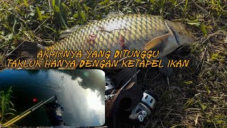 GANAS TARIKAN IKAN INI MEMBUAT REEL MENJERIT‼️ [upl. by Kristos598]