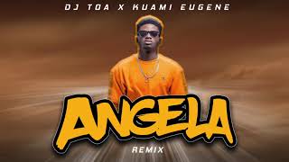 DJ TOA  ANGELA REMIX 2018 [upl. by Yesdnyl]