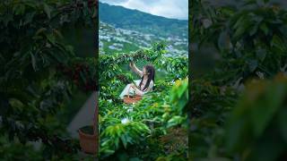 Fruits and fruits are various types shots youtubeshorts [upl. by Neirrad]