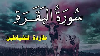 ‏‏سورة البقرة كاملة رقية للبيت وعلاج للسحر تلاوة تريح القلب وتشرح الصدر Sourate Al Baqara [upl. by Eanom]