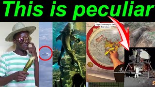 Creepy TikToks that will make you rethink reality REACTION episode 463 [upl. by Penland]