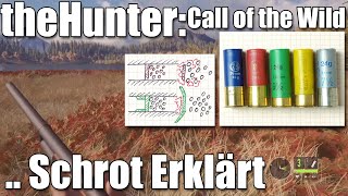 Schrot Munition erklärt amp Miller 10gauge in theHunter CotW [upl. by Lener388]