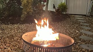 Basenji Adventures fire pit LIVE [upl. by Seira413]