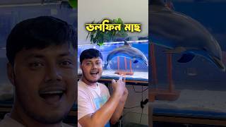 অ্যাকোয়ারিয়ামে একটি ডলফিনের বাচ্চা বড় করেছি ornofpets [upl. by Nosde]