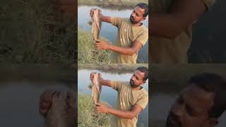 2 kg ki fish pakad Liye yah fish pakdane ki location Nanded Godavari nadi [upl. by Debby]