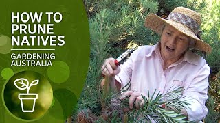 How to prune native plants [upl. by Schinica239]