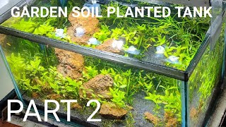 Planted aquarium without Aqua soil Part  2  Garden soil planted tank  plantation  15 day update [upl. by Thgirw]