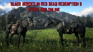 Black Horses Available in Red Dead Redemption 2 Story amp Online [upl. by Mercado]