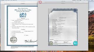 How to Apostille a South Carolina Birth Certificate [upl. by Adley]