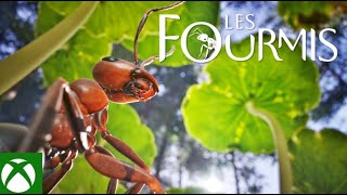 Les Fourmis  Release Date Trailer [upl. by Dennett926]