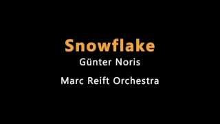 Marc Reift  Snowflake Günter Noris [upl. by Nnaassilem]