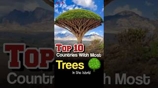 Top 10 Countries with the Most Trees in the World [upl. by Still]