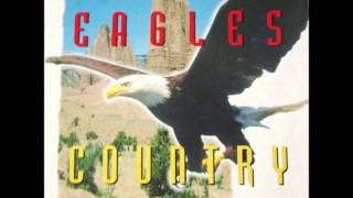 Eagles Take It Easy Instrumental [upl. by Dennett197]