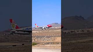 Edelweiss Air Airbus 320200 landing at Tenerife South shorts edelweiss airport airplane airbus [upl. by Harshman]