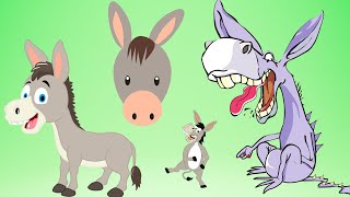 quotHeeHaw Donkey’s Day  Fun Donkey Song for Kidsquot [upl. by Ailegave]