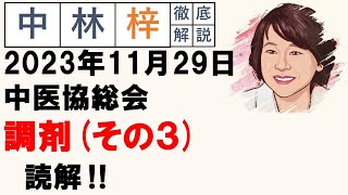 【中林梓】梓の勝手な独り言（2023 11 29中医協総会 調剤（その3）） [upl. by Nollad454]