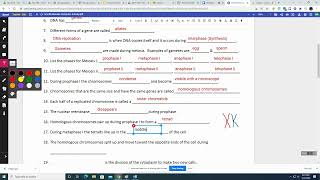 TW Snurfle Meiosis Help [upl. by Neukam]