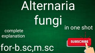 Alternaria fungi for bsc msc student both Hindi and English medium [upl. by Akinoj]