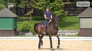 Am Sitz reiten als Voraussetzung für die Passage [upl. by Andonis205]