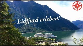 AIDAbella im Eidfjord  Vøringsfossen auf eigene Faust Norwegens Fjorde  InternationalPax TV [upl. by Ketty]