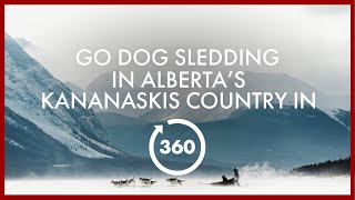 Go Dog Sledding in Alberta’s Kananaskis Country in 360° [upl. by Enneyehc]