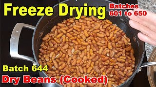 Batch 644  Freeze Drying Dry Beans Cooked [upl. by Ignatius455]