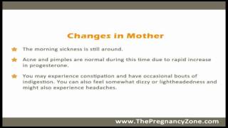 2 Months Pregnant  Week by Week Pregnancy [upl. by Reteid]