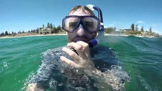 Snorkeling at Cottesloe Beach on a Good Day Perth WA [upl. by Ateinotna]