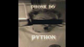 Phonk do python with RD12P5 phonk braziliansong [upl. by Hali573]