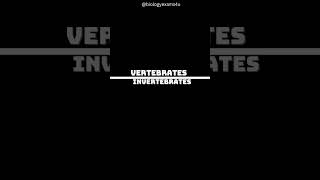 Vertebrates vs Invertebrates [upl. by Erdei]