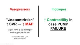 Vasopressors and Inotropes [upl. by Divadnhoj]