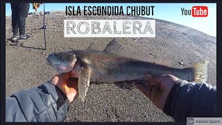 Robalera en sector de Isla Escondida Chubut [upl. by Abehsat]