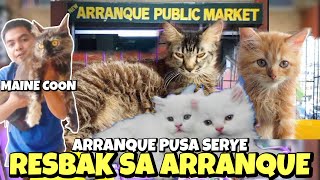 ANG PAGBABALIK SA ARRANQUE PET MARKET  PUSA SERYE  JUNE 27 2024 [upl. by Tarrant384]