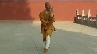 Shaolin Kung Fu Combat Styles 10 big penetratingarms form 通臂拳 tong bi quan 12 [upl. by Herrod]