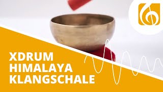 XDrum Himalaya Klangschale 10cm300g [upl. by Wooldridge29]