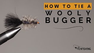 How To Tie a Wooly Bugger Fly [upl. by Raffaello550]