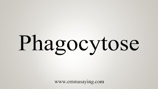 How To Say Phagocytose [upl. by Nynahs]