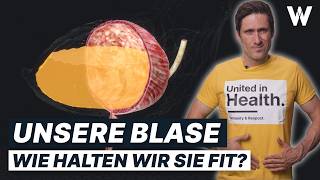 Unsere Blase Funktion amp Tipps für eine starke Harnblase Typische Erkrankungen [upl. by Haronid]