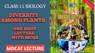 DIVERSITY AMONG PLANTS  ONE SHOT SERIES PART 1  MCQS ALSO EXPLAINED  DOCTORS STOP BIOLOGY [upl. by Pandich]