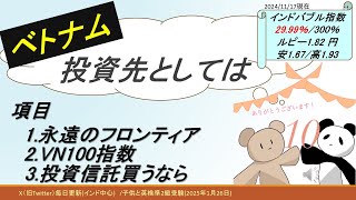 ベトナム投資先としては【インドバブル指数2999％300％】 [upl. by Isewk]